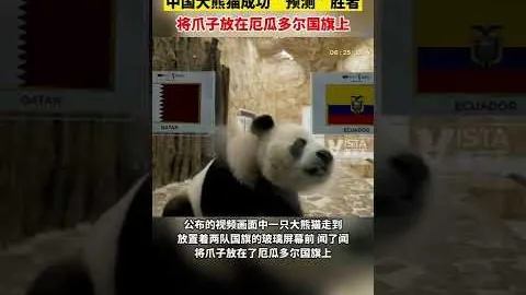 体育场负责人怒批澳板协：昔日恩怨再升级！